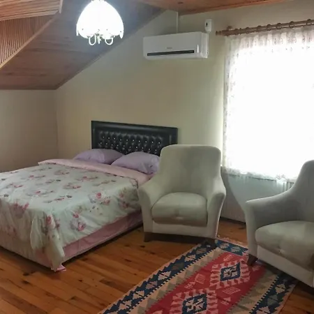 בית הארחה Penguen Apart ספנג'ה